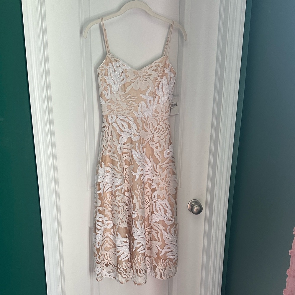 Dress the Population Lace Sequin Cocktail Dress